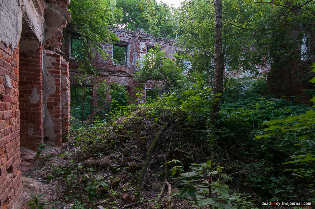 Усадьба Верзилово