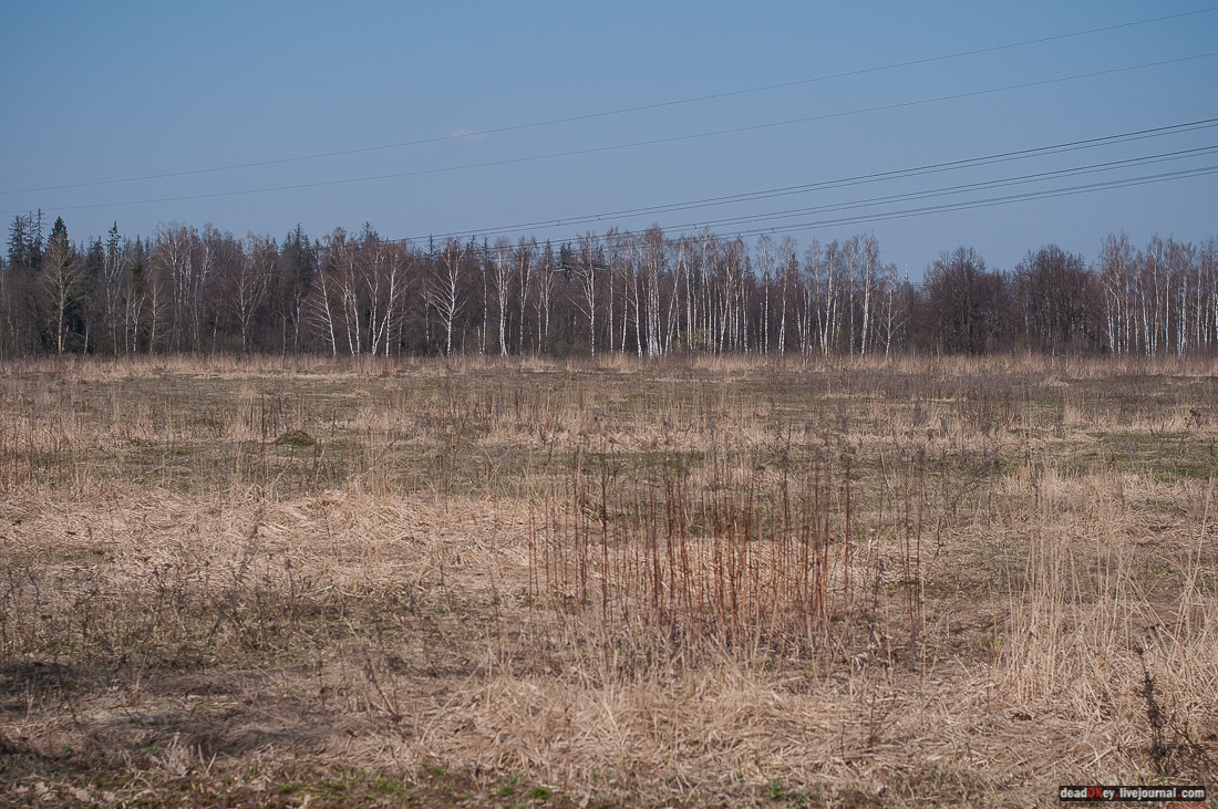 усадьба Савинское (исследование масонского парка)
