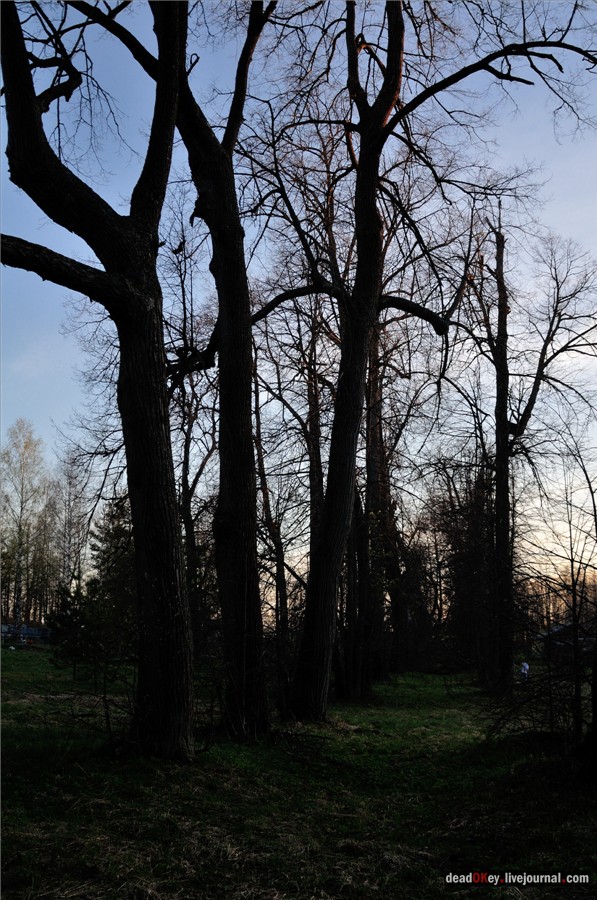 усадьба Смольнево