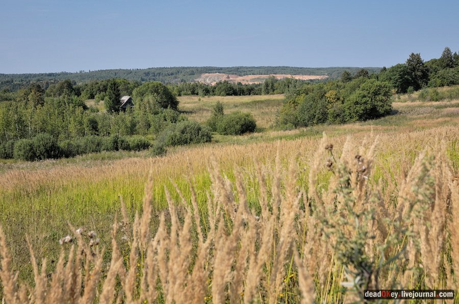 усадьба Муханово