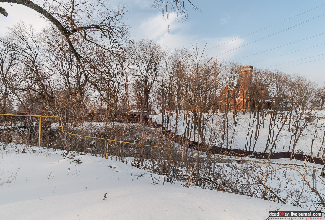 усадьба Рамонь