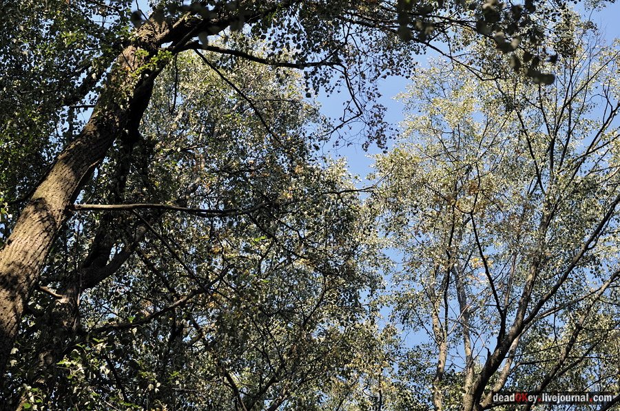 усадьба Муханово