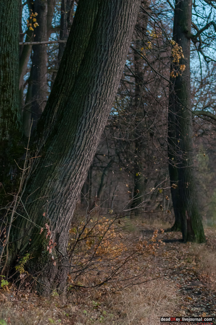 усадьба Богородицк