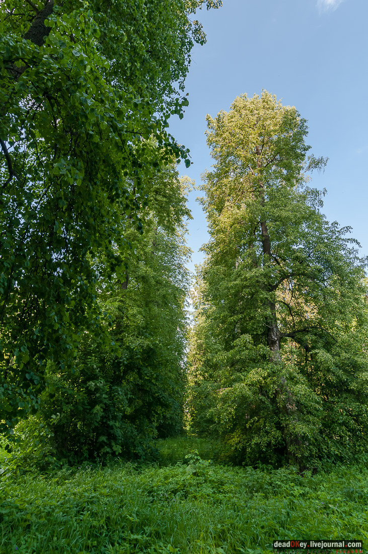 усадьба Вощажниково