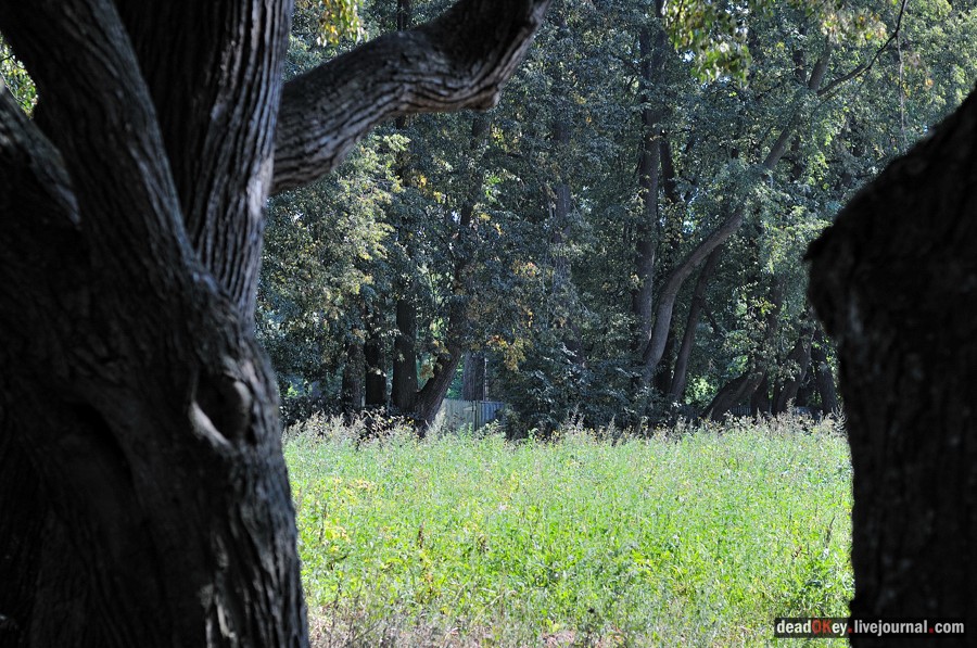 усадьба Опарино