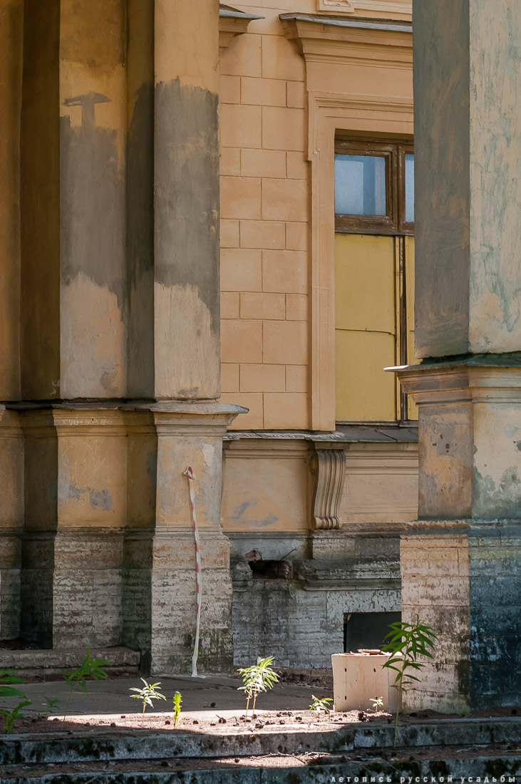 усадьба Михайловская дача, Петергофская дорога, Санкт-Петербург