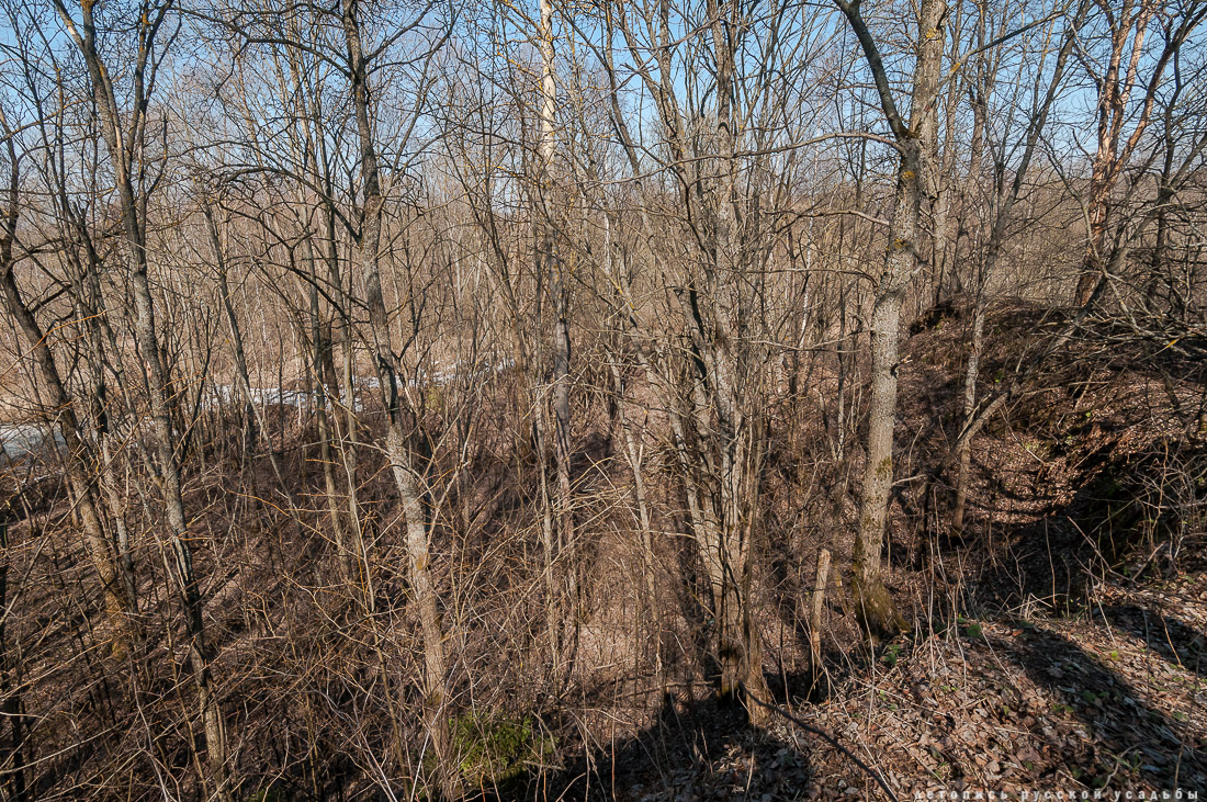 усадьба Бабкино