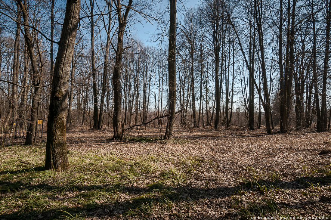 усадьба Бабкино