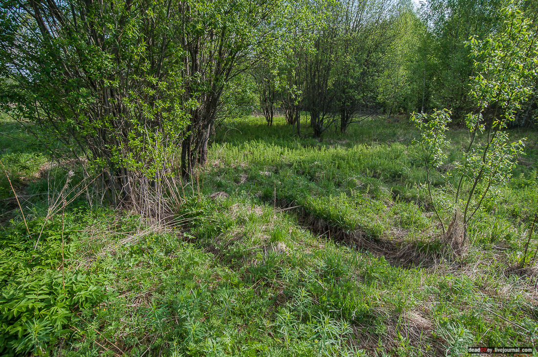заброшенная деревня Сяпчозеро, Карелия, Кондопожский район