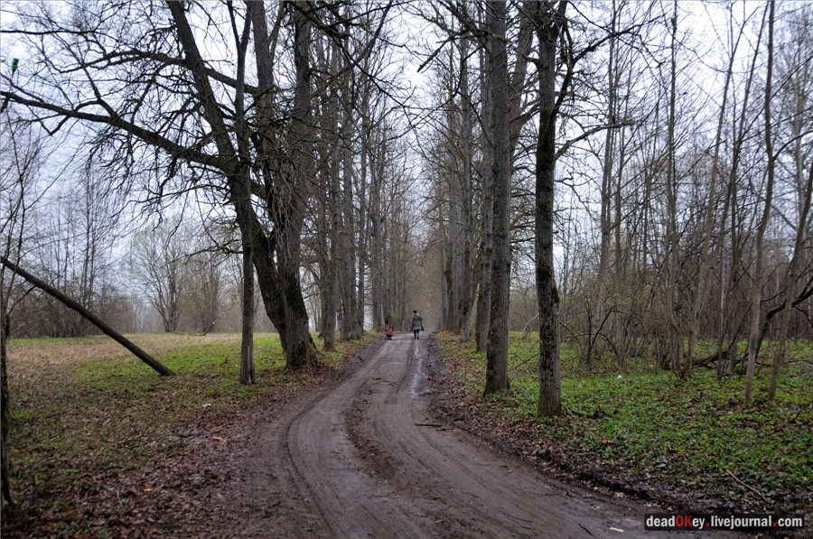 Бабушки в русских усадьбах