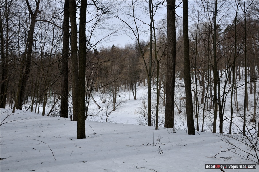 усадьба Райки