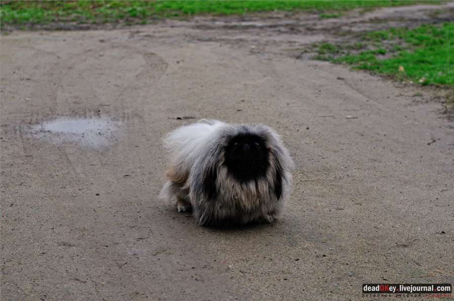 усадьба Федоровское