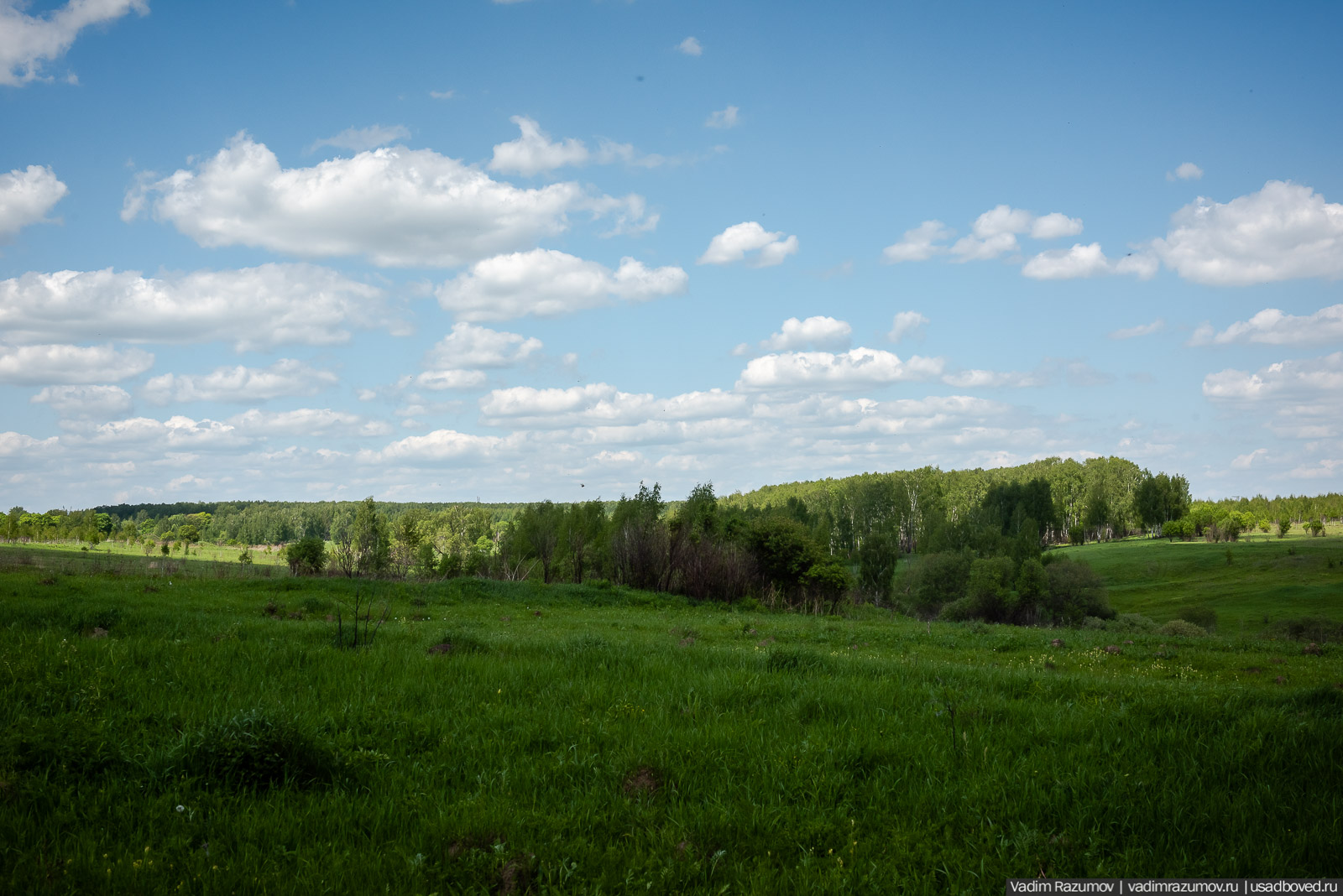 Старое Глазово, могила Василия Баженова, 2021 год