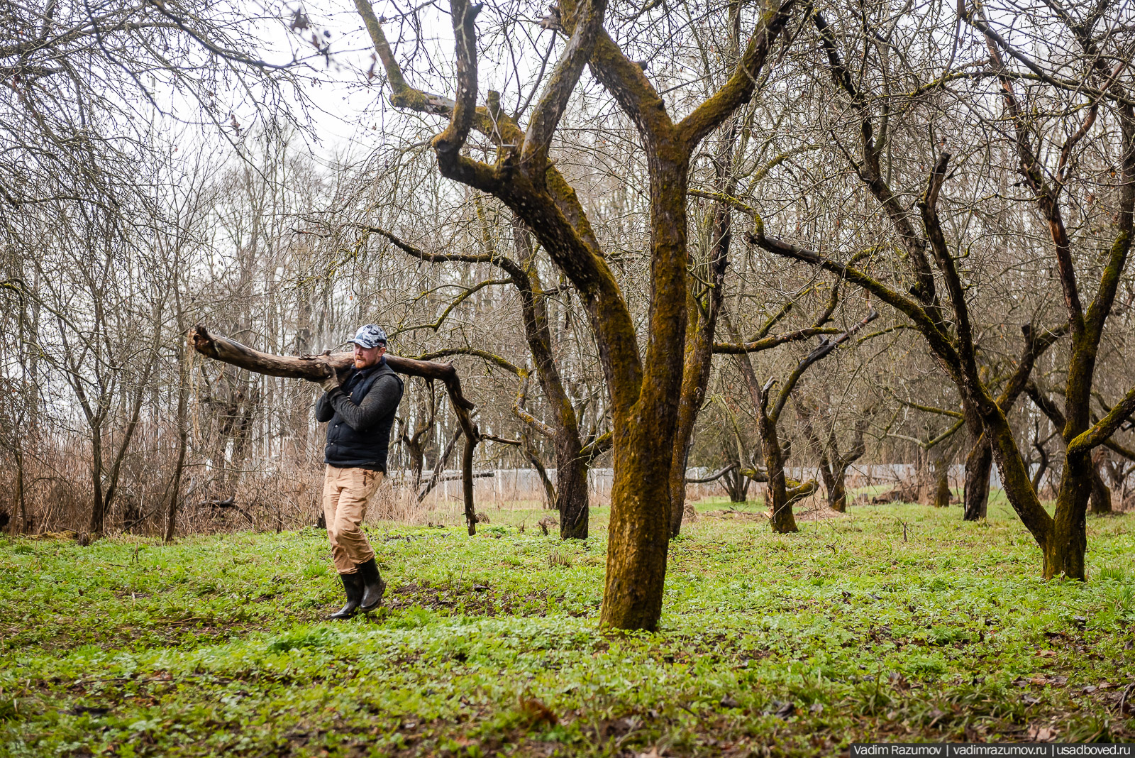усадьба Колосово, волонтерский субботник 24 апреля 2021 года, Тульская область, НП Русская усадьба
