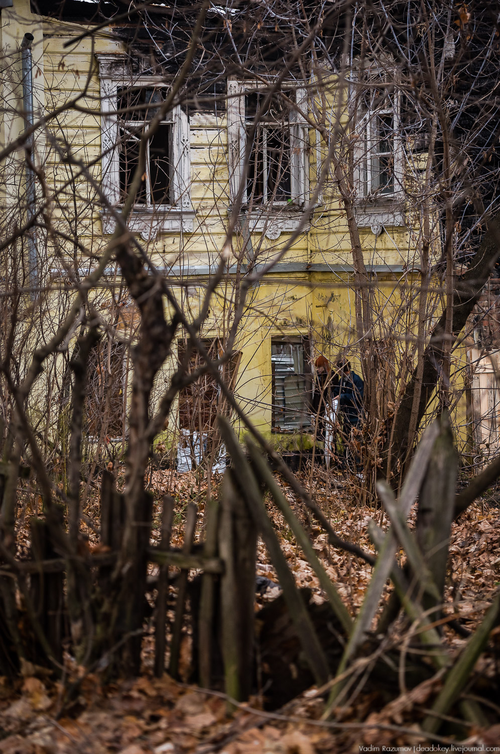 Сергиев Посад, волонтеры спасают дом на Валовой улице