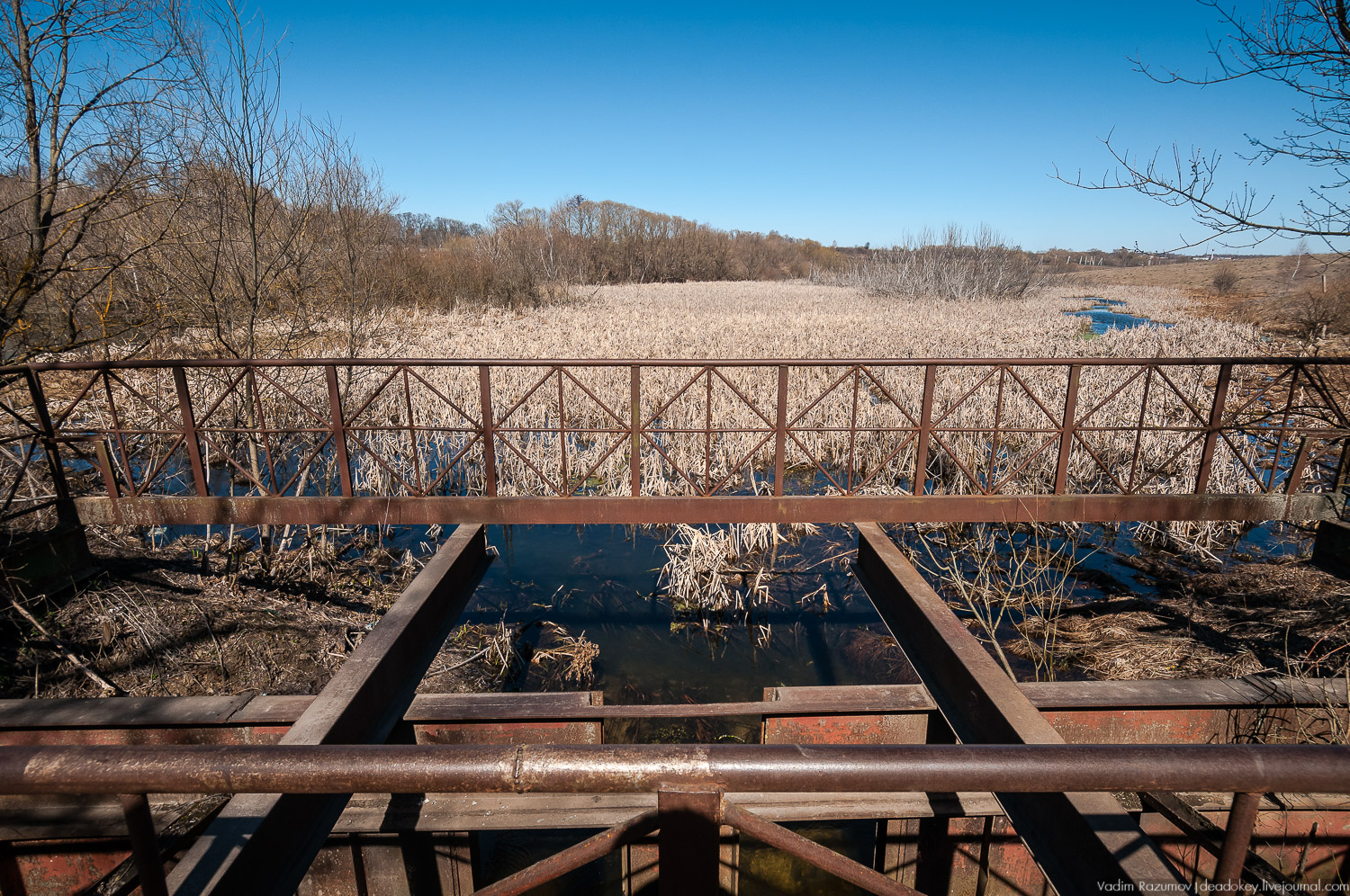 Богородицк, Церерина роща