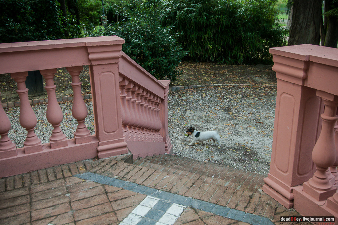 вилла Лоди Фе (villa Lodi Fe), Италия, Эмилия-Романья, Риччоне