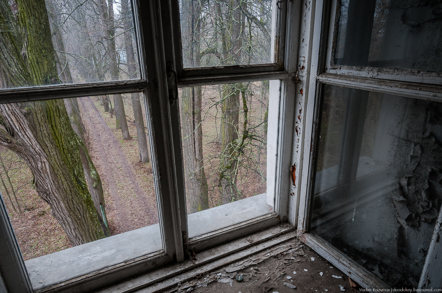 Интерьеры усадьбы Петрово-Дальнее, Дурнево