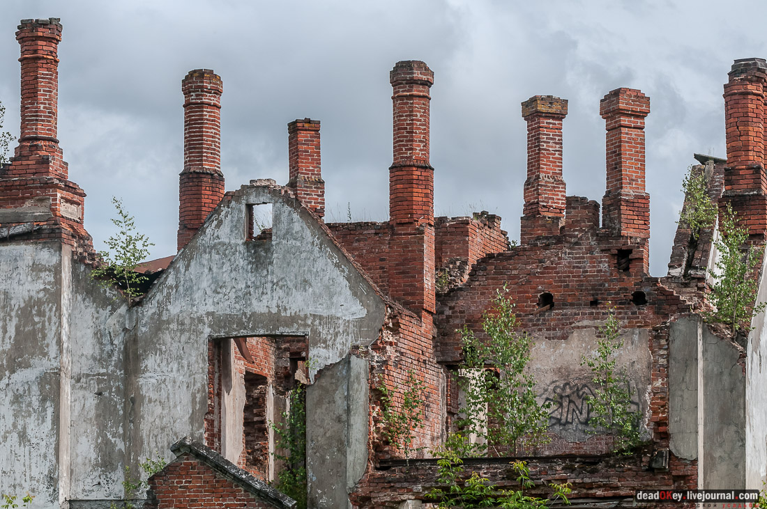 усадьба Крекшино, аукцион рубль за метр