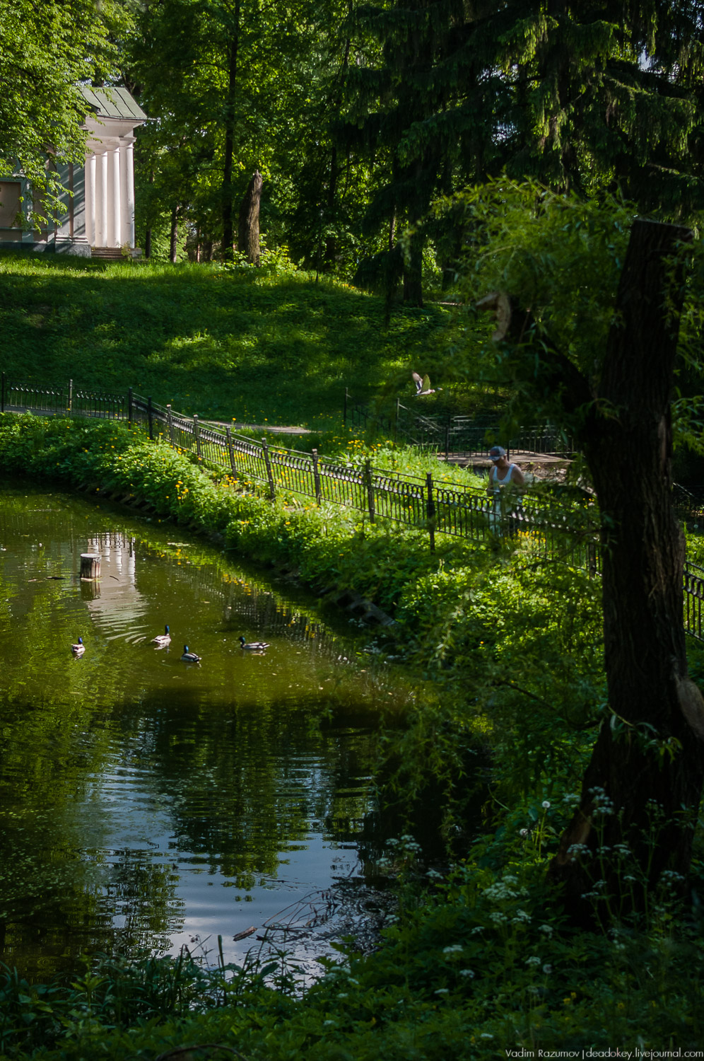 усадьба Валуево в мае