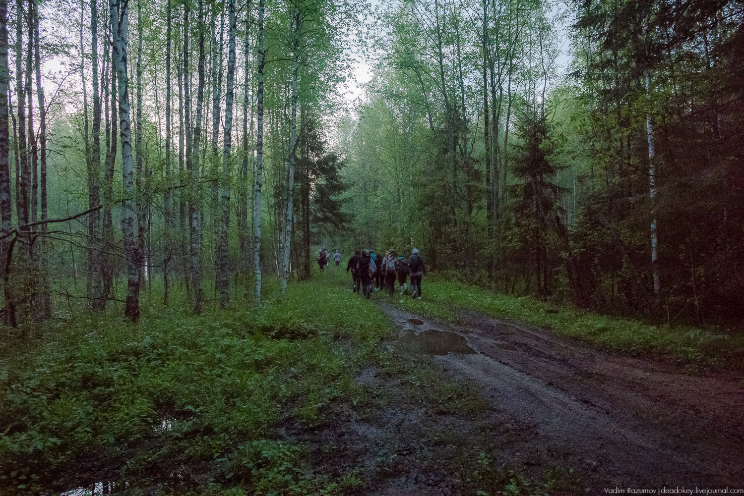 Центрально-лесной государственный природный биосферный заповедник, Нелидовский район, Тверская область, пос. Заповедный