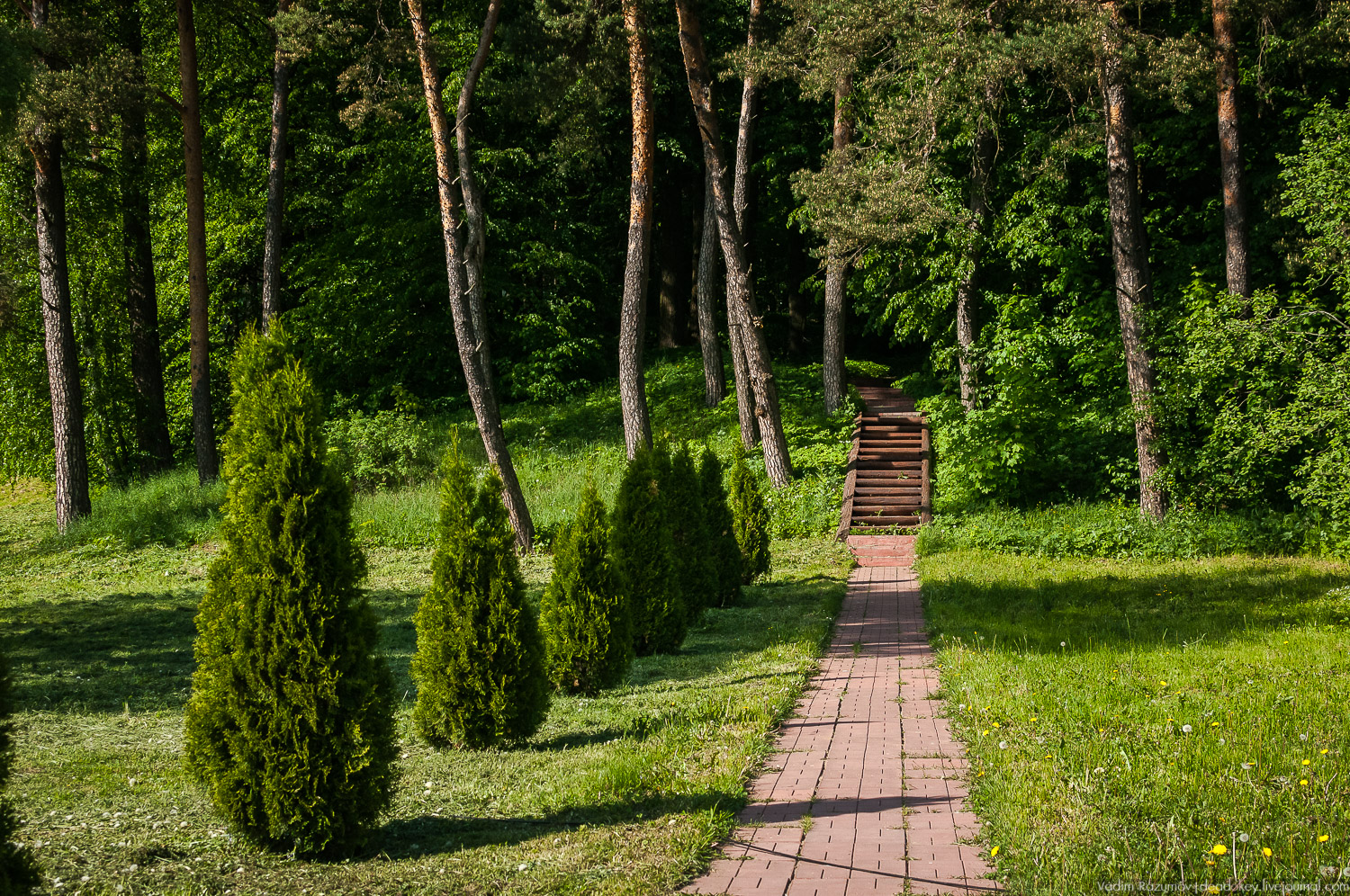 усадьба Валуево в мае