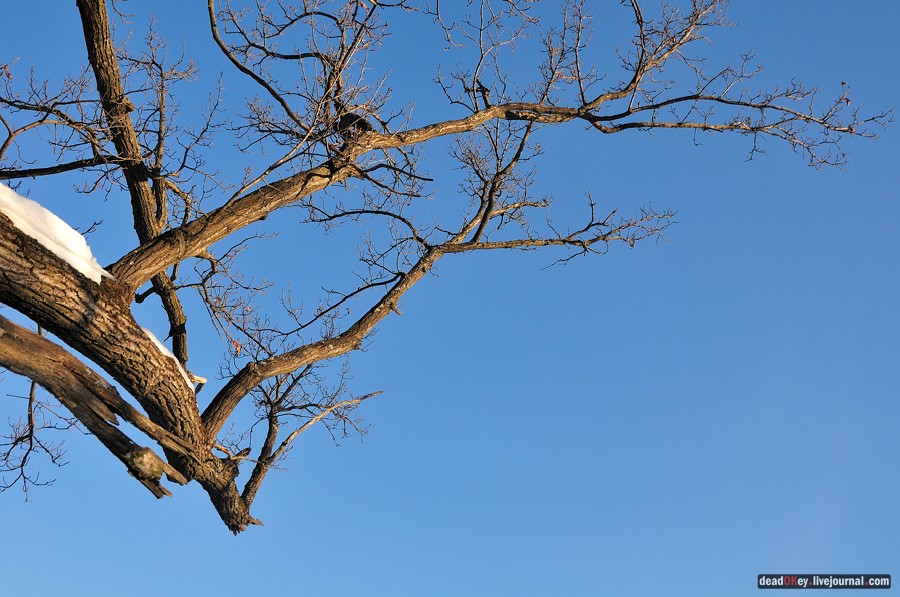 усадьба Архангельское-Тюриково