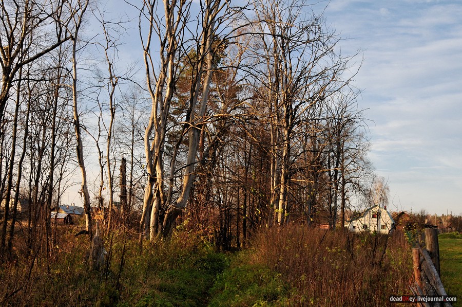 усадьба Бережки