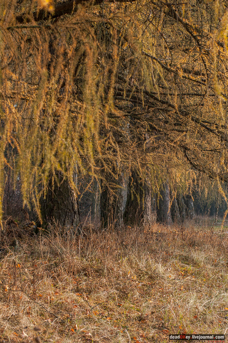 Усадьба Филатово