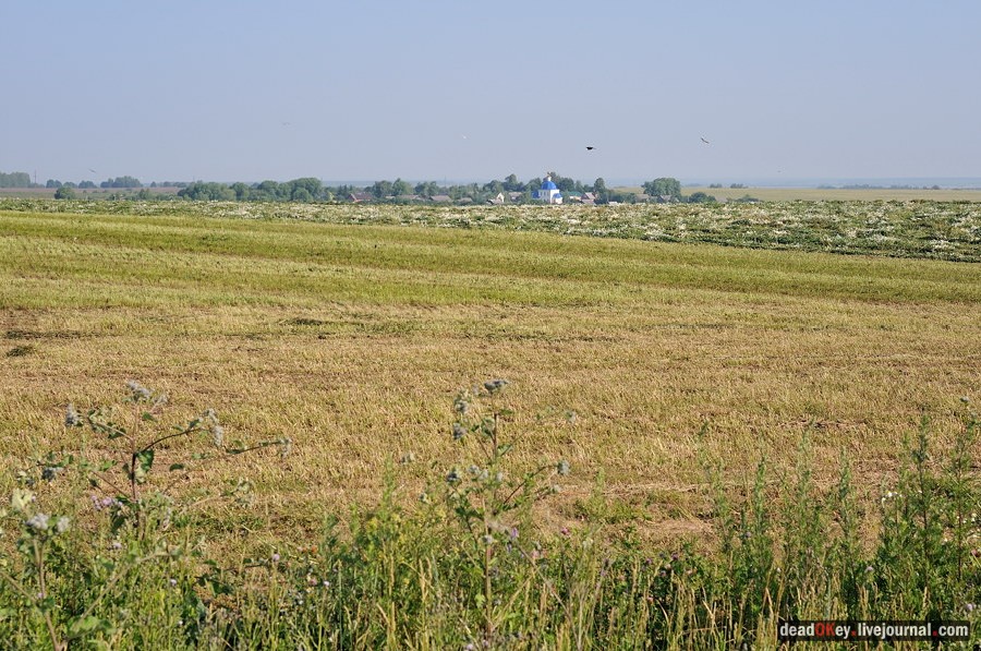 усадьба Подолец