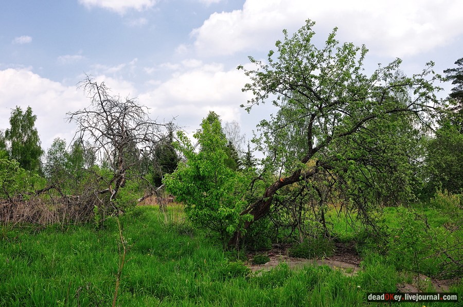 усадьба Спасское