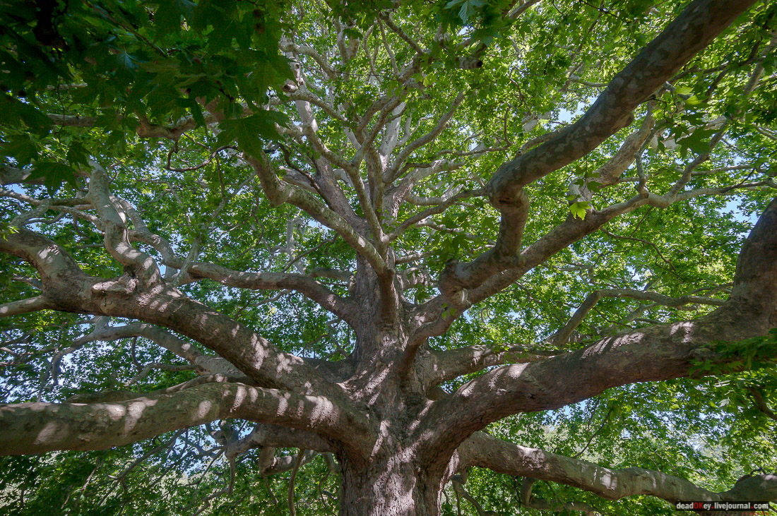 усадьба Ореанда (Нижняя Ореанда, Крым)