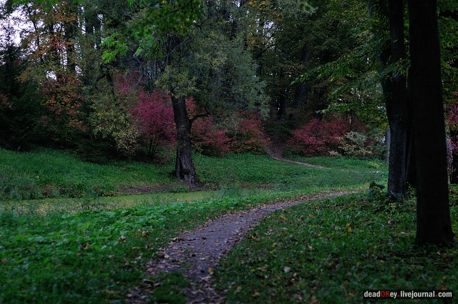 усадьба Ясная Поляна