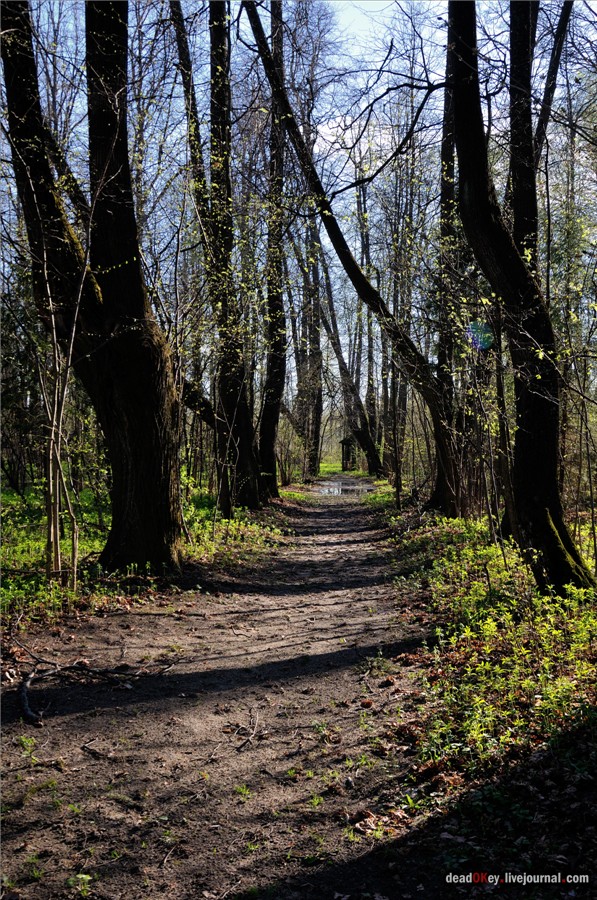 усадьба Орехово
