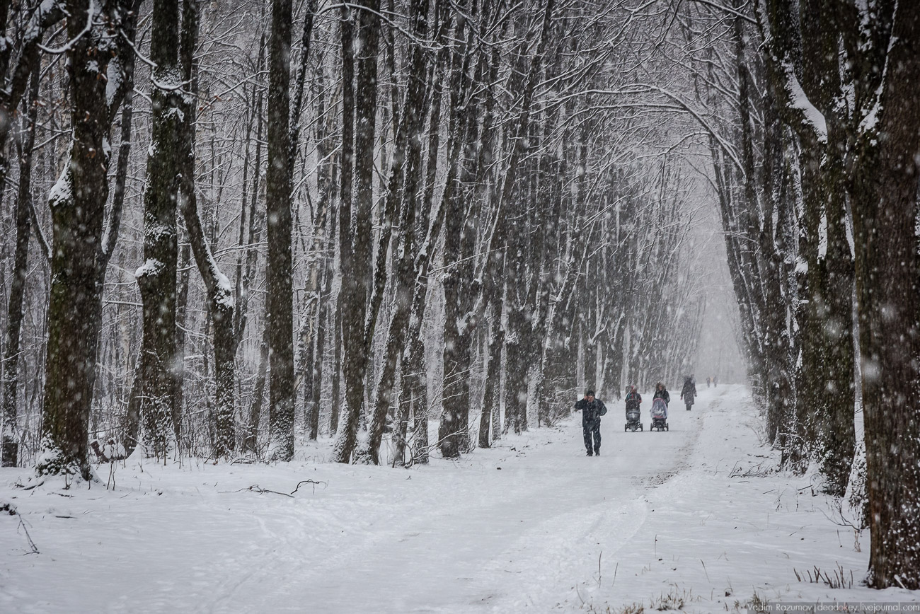 Усадьба Кусково зимой, 2018 год