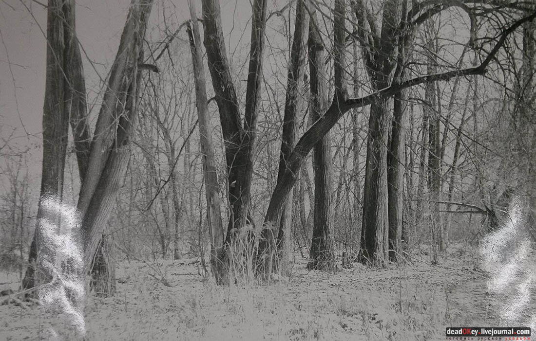 усадьба Васино