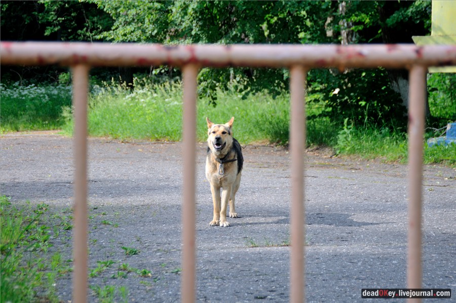 усадьба Кудрявцево