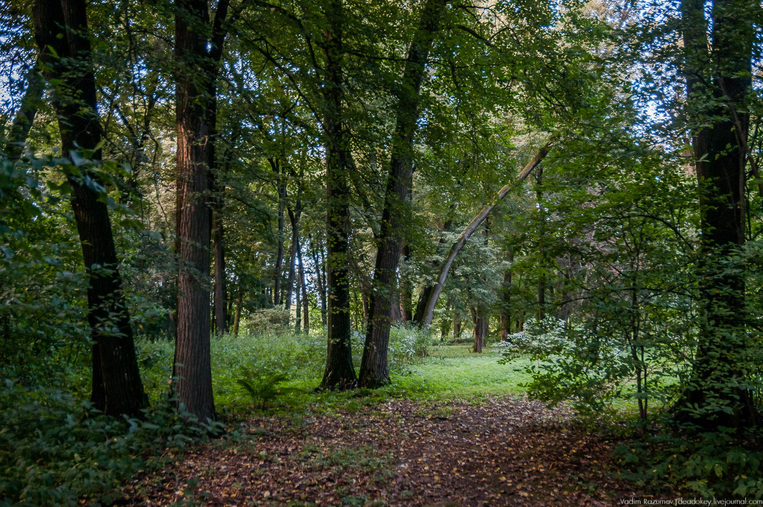 усадьба Даровое, Зарайский район, Ф.М. Достоевский