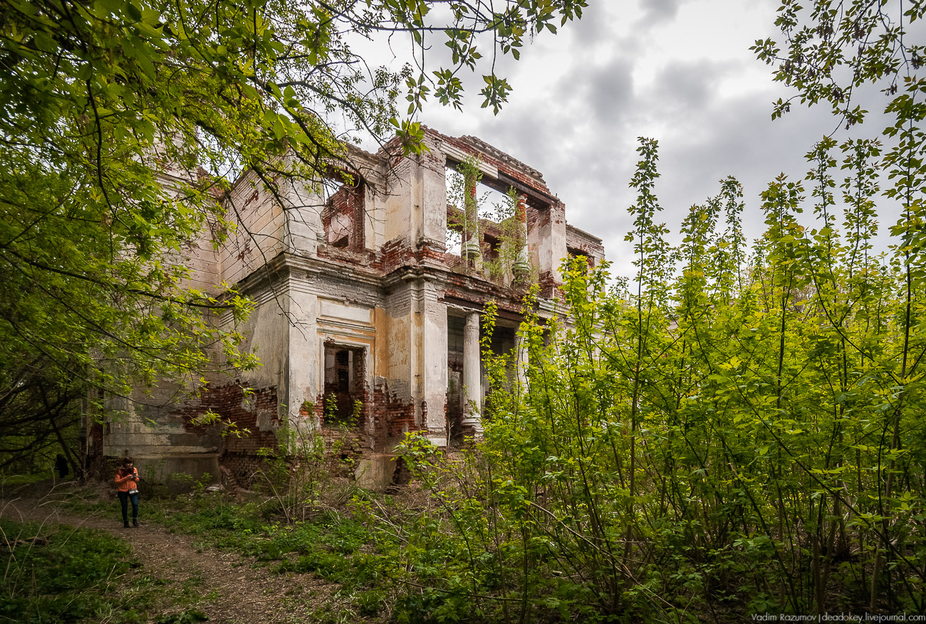 Летопись русской усадьбы. Усадьбы 2017 года