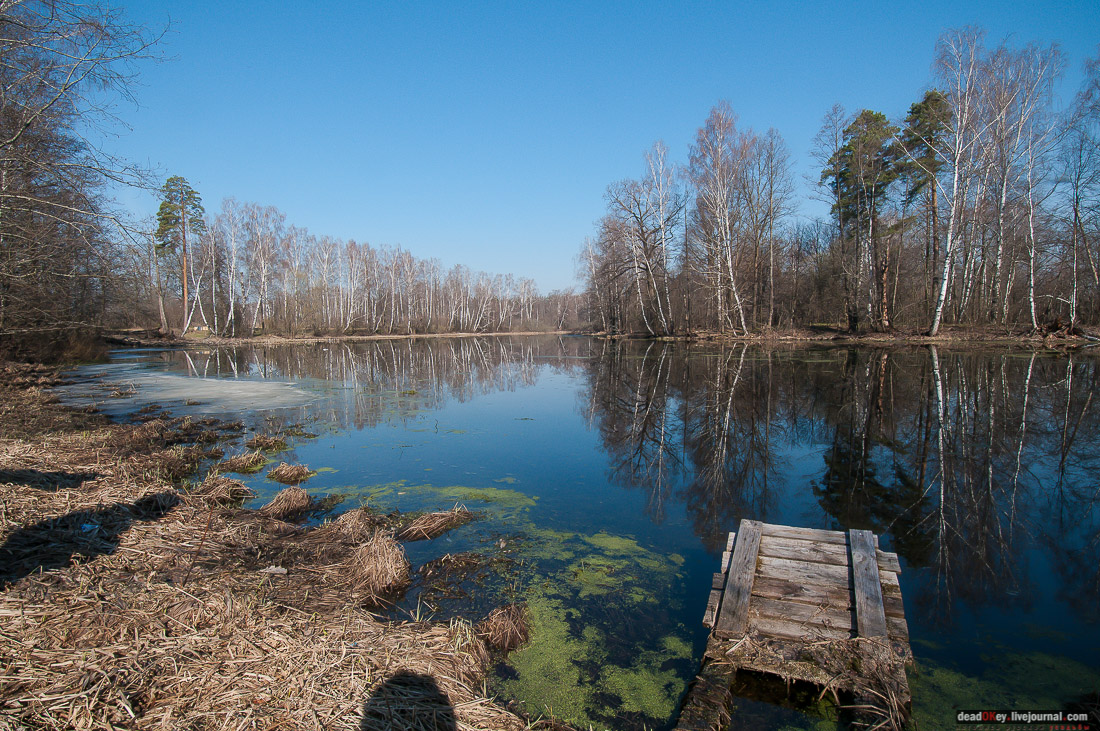 усадьба Савинское (исследование масонского парка)
