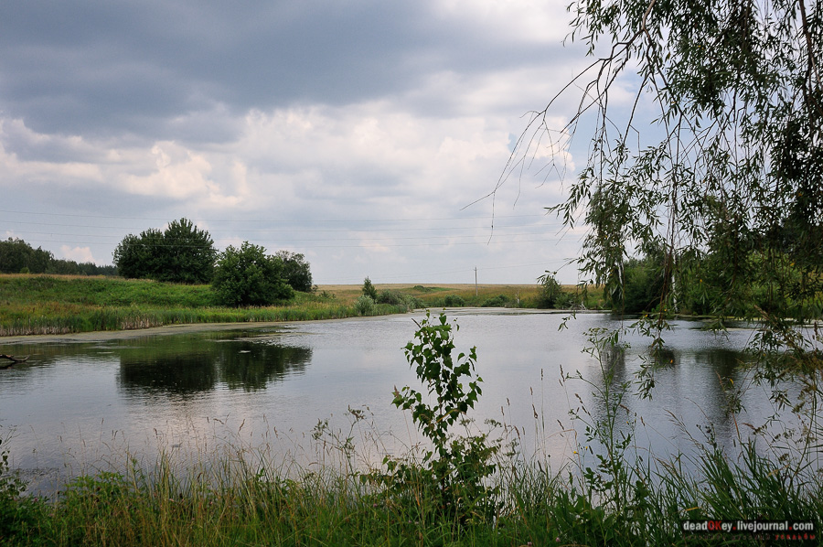 усадьба Матыра