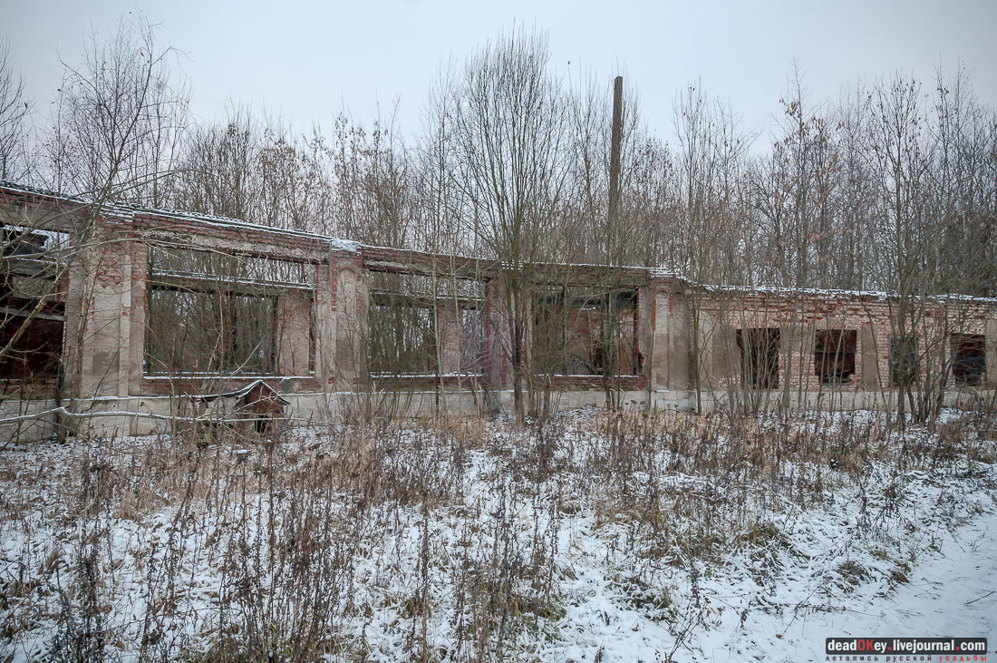 усадьба Никольское-Обольяниново