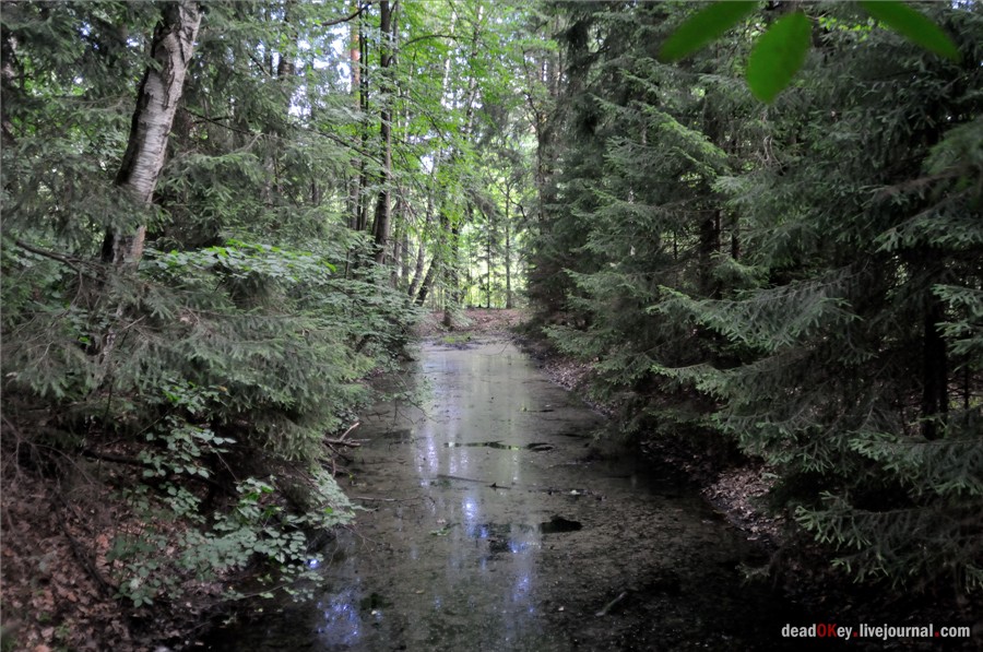 усадьба Алмазово