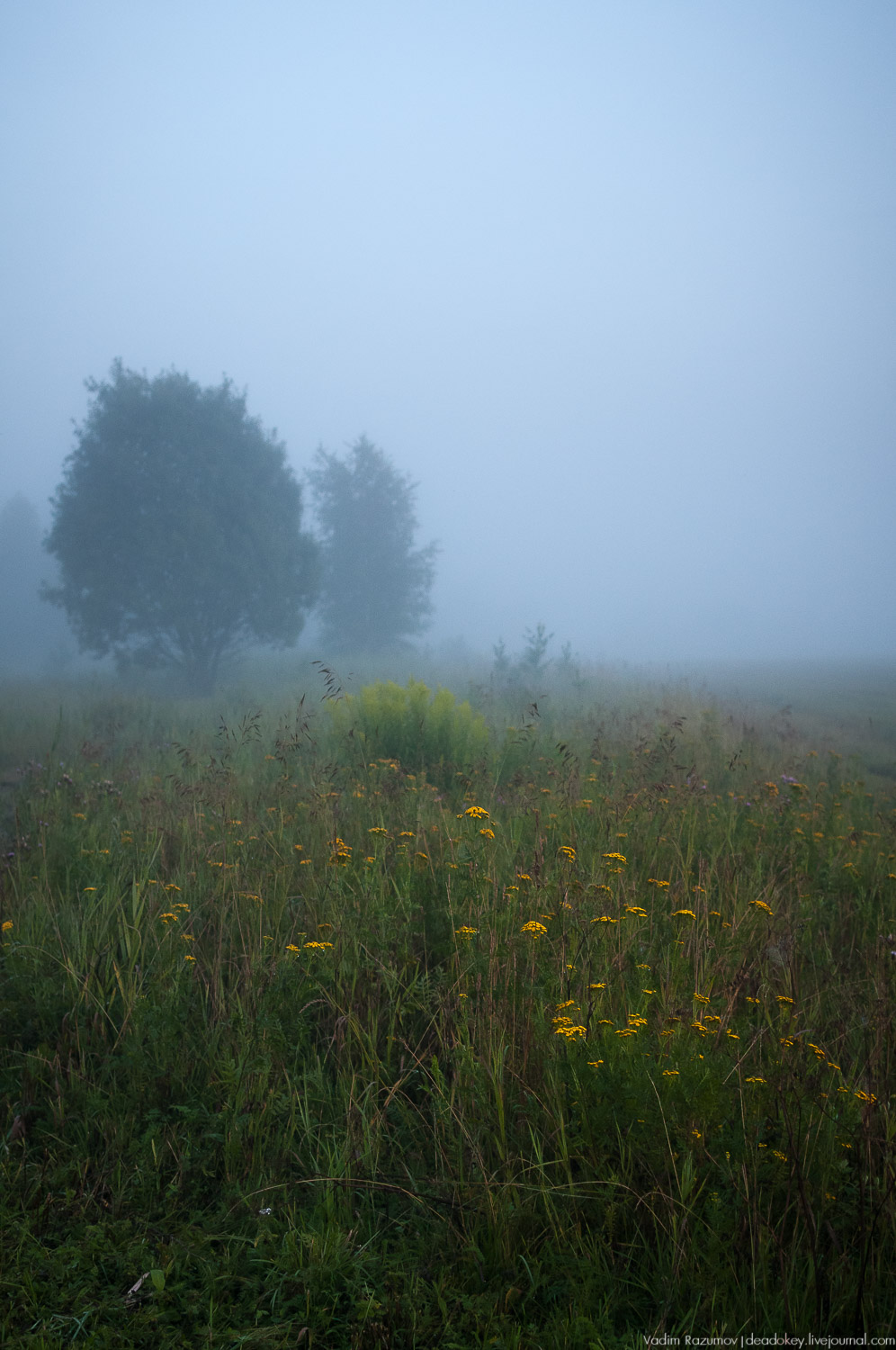 Закат, туман, Стромынь