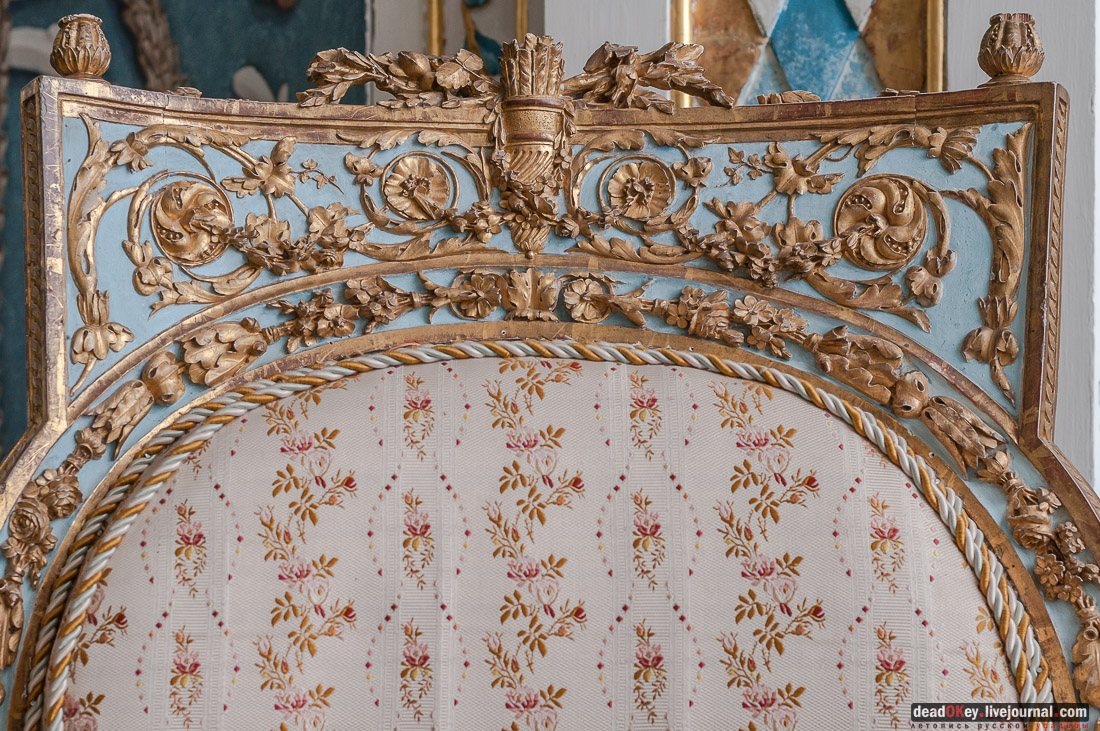 усадьба Кусково библиотека