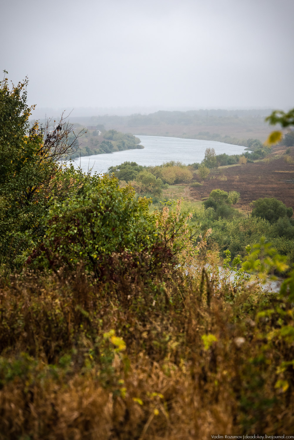 Липецкая область, усадьбы, инвестблогтур 