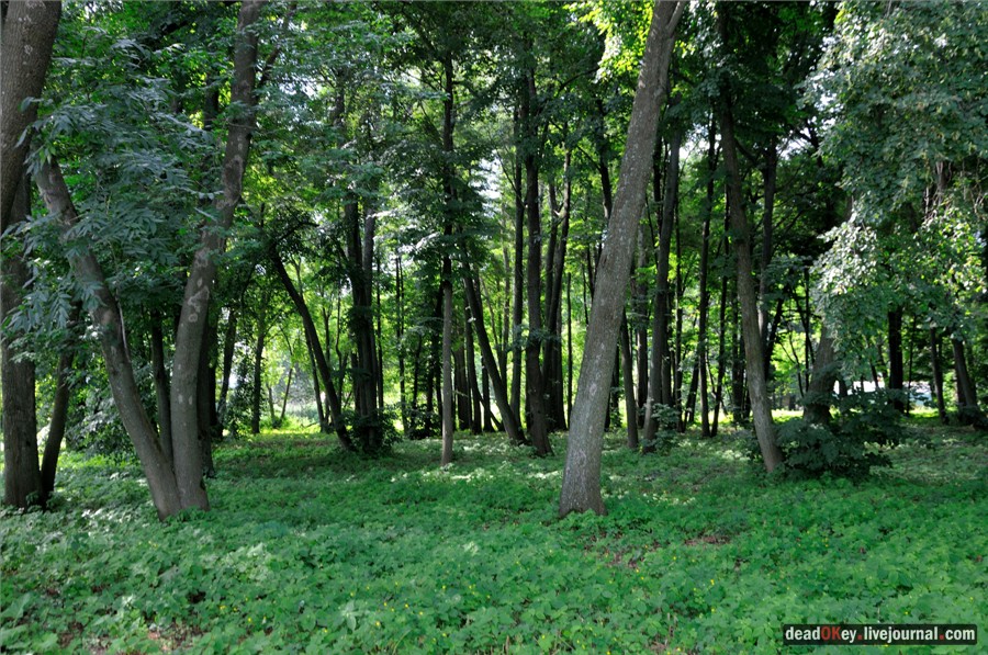 усадьба Троицкие Борки