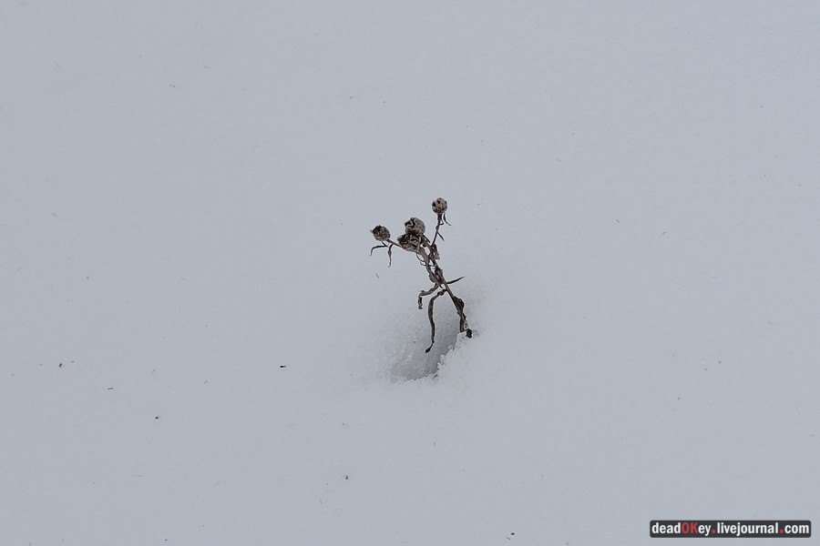 усадьба Милюково