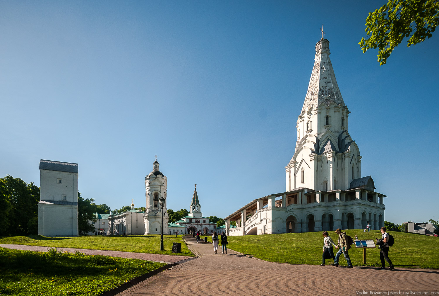 Коломенское в мае, цветы