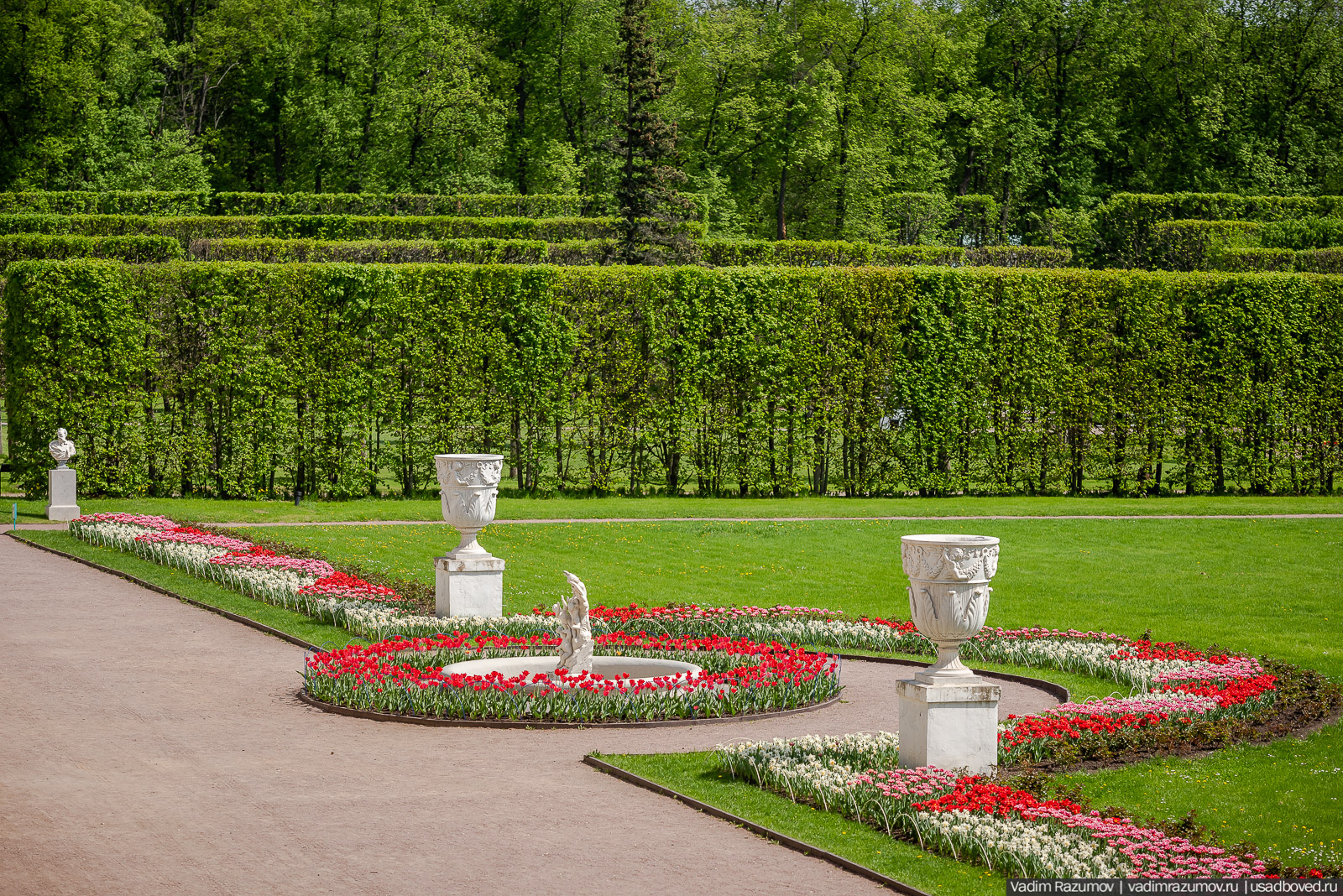 усадьба Архангельское, весна, май 2021